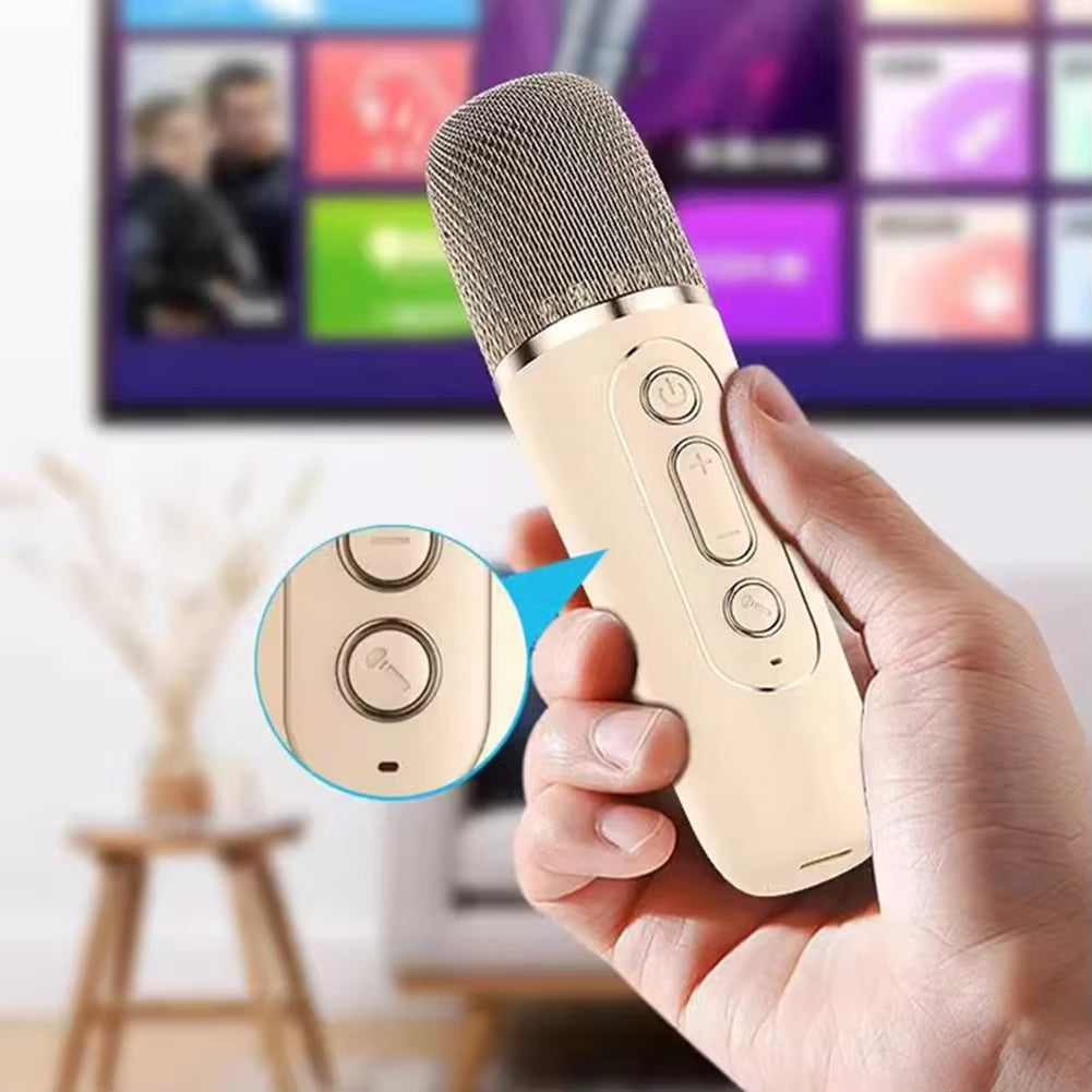 Mini Bluetooth Karaoke Machine With Wireless Microphones